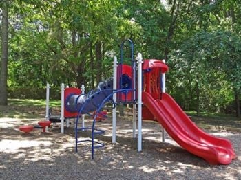 Playground and activity center